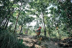 BIB: 
                            <button type="button" onclick="openModal(25759538)" class="btn btn-primary btn-sm float-right btn-popup" data-toggle="modal" data-target=".modal-high-quality">
                        <i class="fas fa-shopping-cart"></i> Add to Cart
                    </button>
                                            <button type="button" onclick="isThisMe(25759538, true)" class="btn btn-success btn-sm float-right btn-popup btn-isme hidden" data-toggle="tooltip" data-placement="bottom" title="นี่คือรูปของคุณใช่ไหม คลิกที่นี่เพื่อเอาเข้าอัลบั้ม">
                        <i class="fas fa-plus"></i> Add to album
                    </button>
                    <button type="button" onclick="isThisMe(25759538, false)" class="btn btn-warning btn-sm float-right btn-popup btn-isnotme hidden">
                        <i class="fas fa-ban"></i> Remove from album
                    </button>